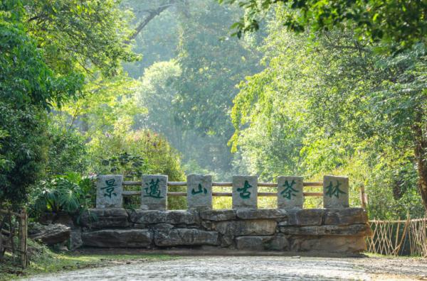 全国推介!云南这3条旅游精品线路,春节必玩~ 全国推介!云南这3条旅游精品线路,春节必玩~