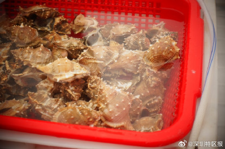 逛集市、捕海鱼、吃年夜饭 南澳东渔集市开市了