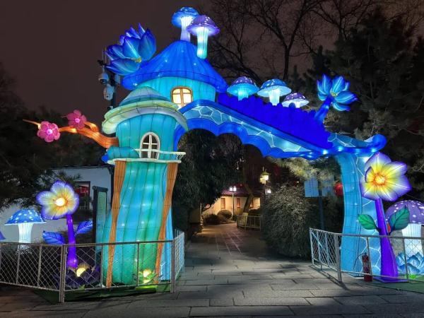 抢先看！趵突泉龙年迎春花灯安装完成，大年初一正式迎宾