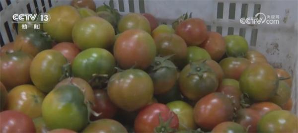 各类年货琳琅满目集中亮相 丰富节日期间百姓“菜篮子”“果盘子”