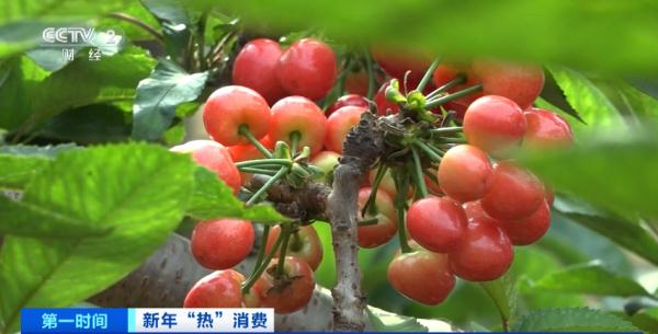 销售一空！年产值近百亿元，什么这么抢手？