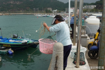 逛集市、捕海鱼、吃年夜饭 南澳东渔集市开市了