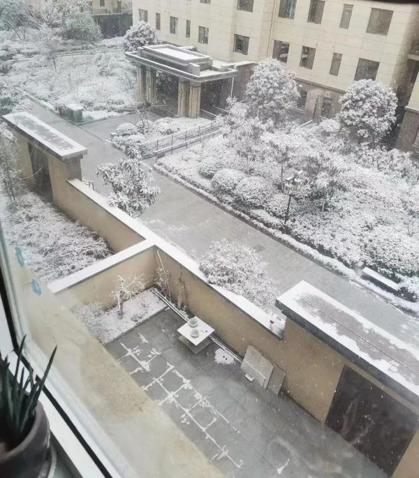 合肥这里下雪了！鹅毛大雪！安徽将迎大雪、暴雪