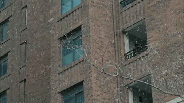 立即启动暴雪应急响应！安徽一地正在下雪……
