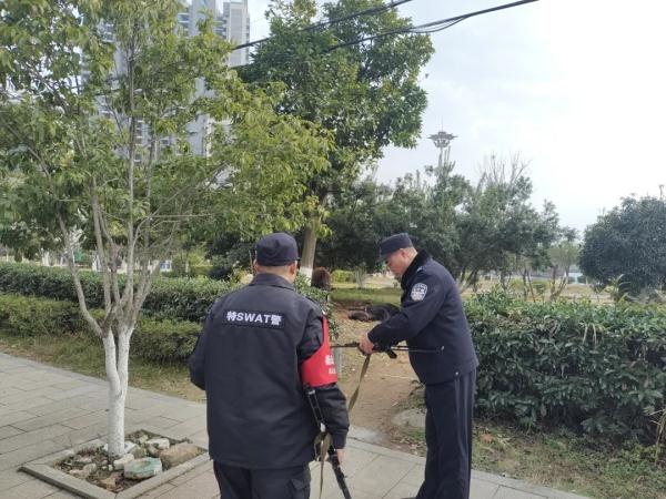 牛疯了,衡山特警一枪击毙! 牛疯了,衡山特警一枪击毙!