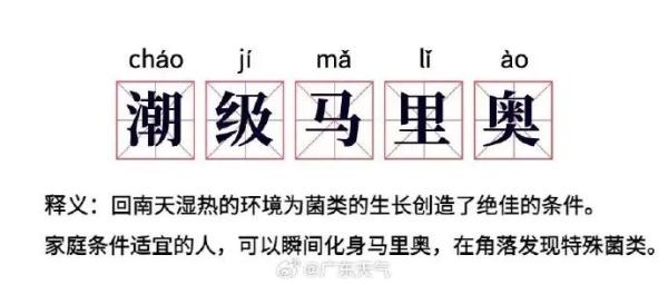 挺住!“回南天”将持续 防潮指南请收好 挺住!“回南天”将持续 防潮指南请收好