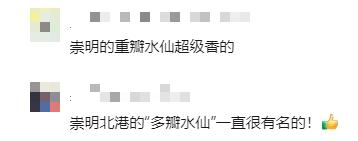 又香又美!很多上海人都买了!如何“保鲜”到春节?攻略来了→ 又香又美!很多上海人都买了!如何“保鲜”到春节?攻略来了→