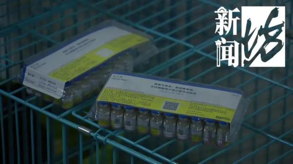 “我有产权,别人管不着!”上海一女子竟在车库养了10只猫,邻居苦不堪言 “我有产权,别人管不着!”上海一女子竟在车库养了10只猫,邻居苦不堪言