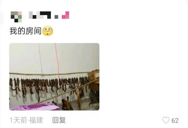 大学生放假回家就成了流动人口，“妈，我床呢？”