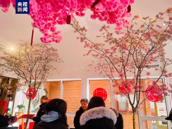 提前两个月 去北京玉渊潭公园赏樱花! 提前两个月 去北京玉渊潭公园赏樱花!