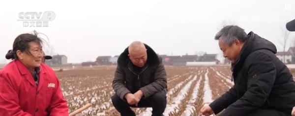 融雪消冰、警车压速……完善细化举措 雪“警”护航群众平安出行