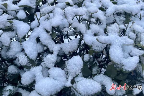 甘肃大范围降雪降温过程仍将持续！最新路况