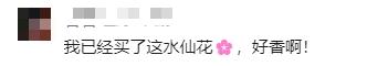 又香又美!很多上海人都买了!如何“保鲜”到春节?攻略来了→ 又香又美!很多上海人都买了!如何“保鲜”到春节?攻略来了→