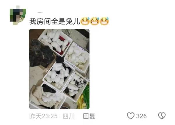 大学生放假回家就成了流动人口，“妈，我床呢？”