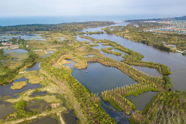 新华全媒+丨天空之眼瞰“国际湿地城市”——海口