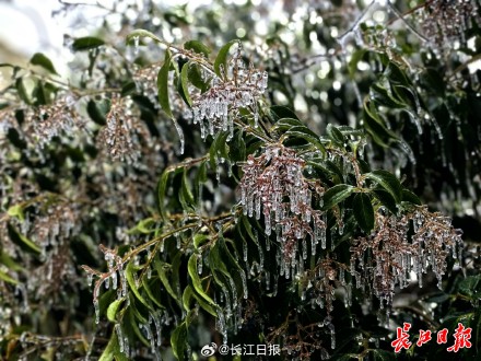 武铁计划停运159趟旅客列车！湖北两地发布暴雪红色预警