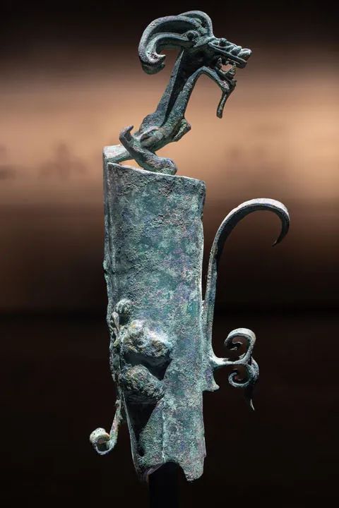 “虎头虎脑”“猪里猪气”，这竟是三星堆的“龙”？