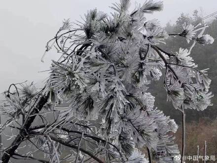多地出现冰凌、雨凇