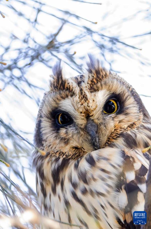 到生态湿地 赏珍稀鸟类