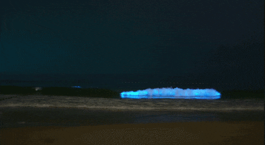 惊艳！这里出现绝美一幕，网友：可遇不可求