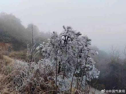 多地出现冰凌、雨凇