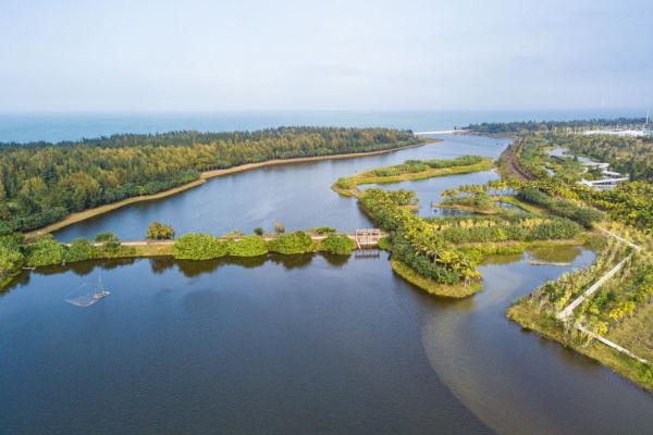 新华全媒+丨天空之眼瞰“国际湿地城市”——海口