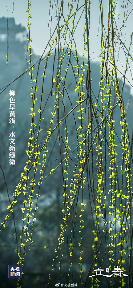 兔年的第二个立春来了 兔年的第二个立春来了