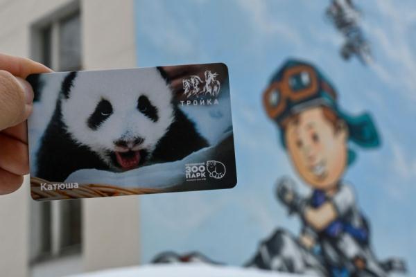 莫斯科地铁发行旅俄大熊猫幼崽主题交通卡