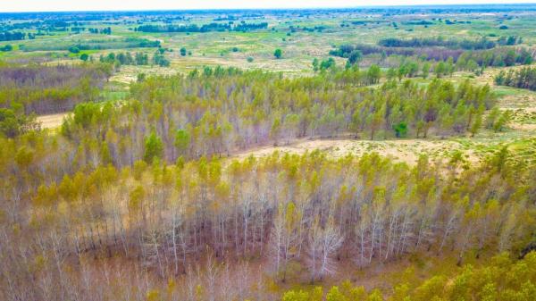 十四冬火炬传递活动举行 全冬圣火照耀活力内蒙古