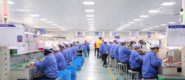 方向清晰、任务明确 中央一号文件擘画乡村振兴新图景