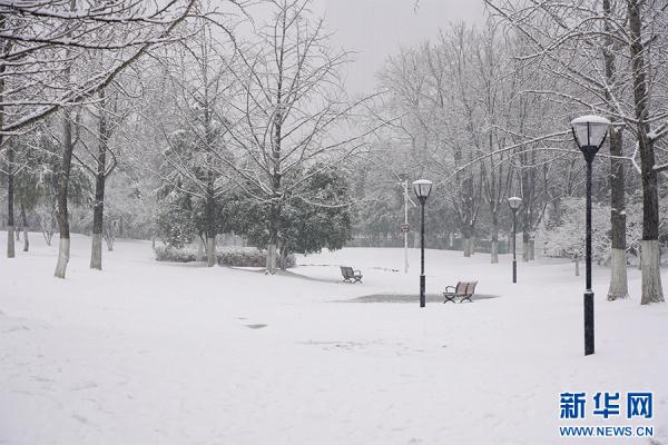 湖北武汉:立春迎飞雪 湖北武汉:立春迎飞雪