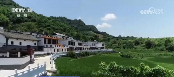 方向清晰、任务明确 中央一号文件擘画乡村振兴新图景