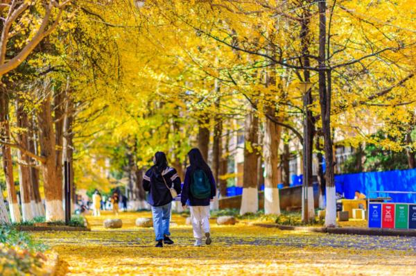 真来了!清华推出免费官方游学,还有多所高校持续开放…… 真来了!清华推出免费官方游学,还有多所高校持续开放……