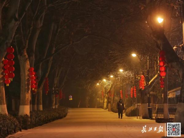 暴雪、冰冻、大雾、大风4预警齐发！局地积雪达8厘米以上