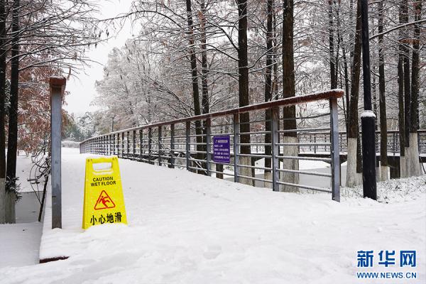 湖北武汉:立春迎飞雪 湖北武汉:立春迎飞雪