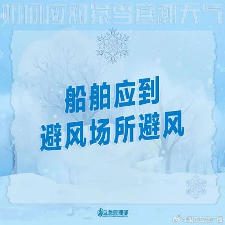 收到暴雪预警后，你该怎么做？