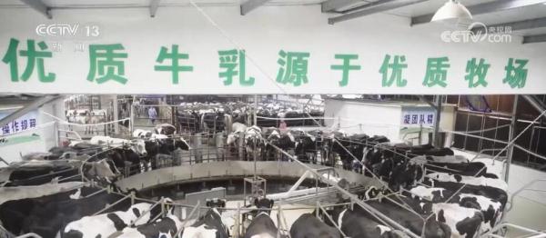 方向清晰、任务明确 中央一号文件擘画乡村振兴新图景