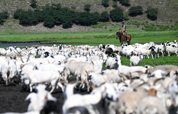 十四冬火炬传递活动举行 全冬圣火照耀活力内蒙古