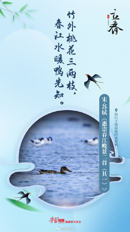 今日立春，跟着古诗邂逅海南最美春光