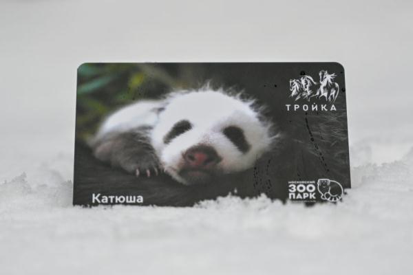 莫斯科地铁发行旅俄大熊猫幼崽主题交通卡