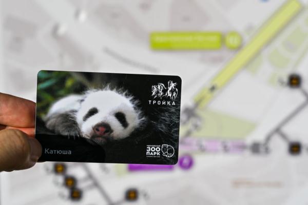 莫斯科地铁发行旅俄大熊猫幼崽主题交通卡