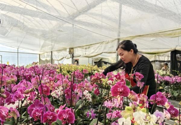 陕西汉中:村村收入“10万+”,是怎么做到的? 陕西汉中:村村收入“10万+”,是怎么做到的?