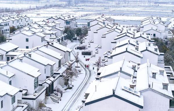 暴雪、冰冻、大雾、大风，四预警齐发！这些车次、道路受影响