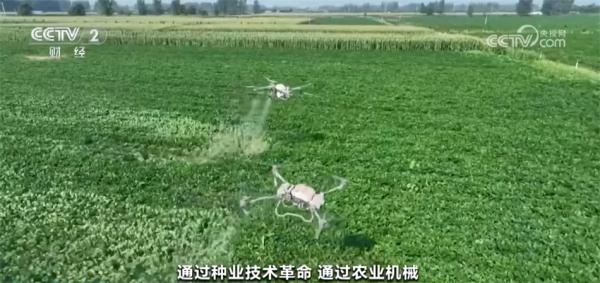 解读2024年中央一号文件 为什么粮食增产重心放在大面积提高单产上? 解读2024年中央一号文件 为什么粮食增产重心放在大面积提高单产上?