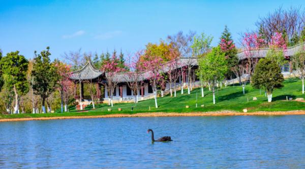 真来了!清华推出免费官方游学,还有多所高校持续开放…… 真来了!清华推出免费官方游学,还有多所高校持续开放……