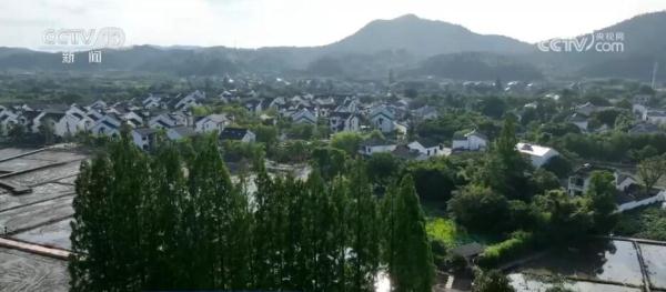 方向清晰、任务明确 中央一号文件擘画乡村振兴新图景