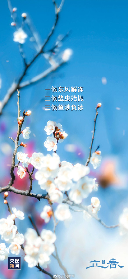 兔年的第二个立春来了 兔年的第二个立春来了