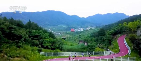 方向清晰、任务明确 中央一号文件擘画乡村振兴新图景