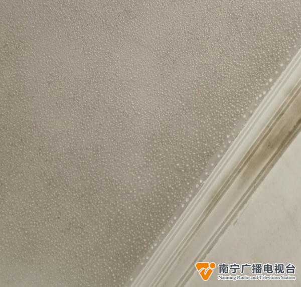 回南天走后，广西最低气温零下7℃！冷空气又来了