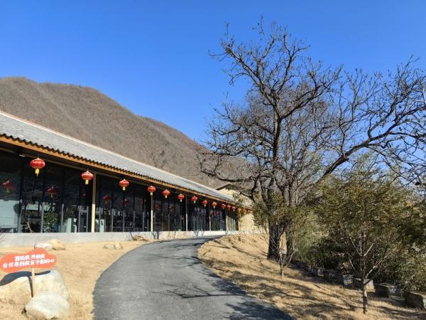 陕西汉中:村村收入“10万+”,是怎么做到的? 陕西汉中:村村收入“10万+”,是怎么做到的?